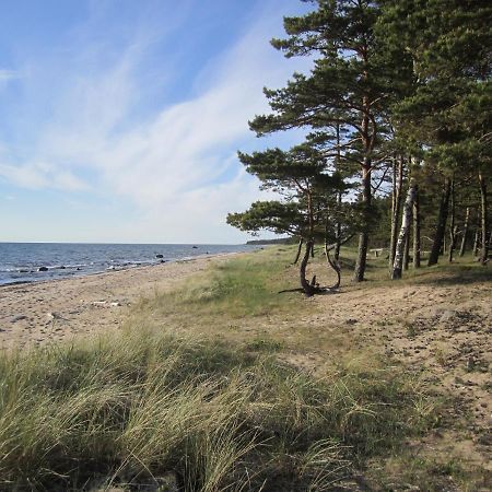 Tahkuna Forest House Kõrgessaare Dış mekan fotoğraf