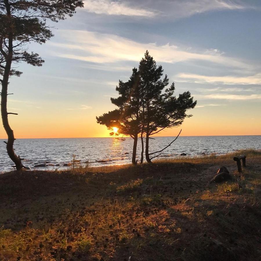 Tahkuna Forest House Kõrgessaare Dış mekan fotoğraf